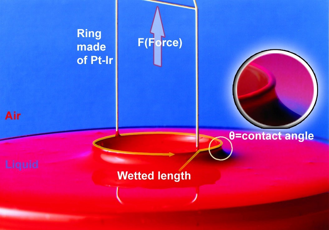 Ring Vs Plate